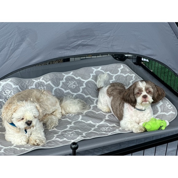 BOUGIEB_COUTURE Live Show Notification - Picture 4 of 16